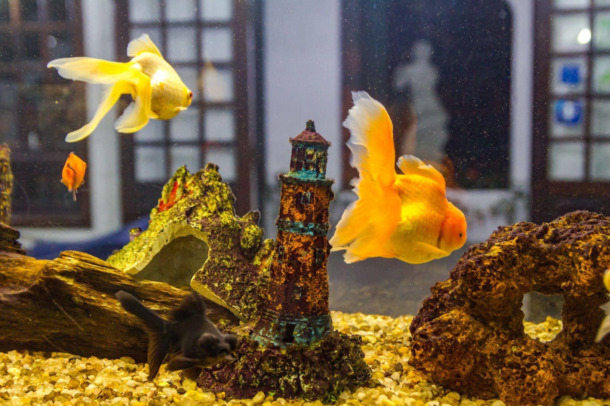 Pousada Torre Del Mar อูบาตูบา ภายนอก รูปภาพ